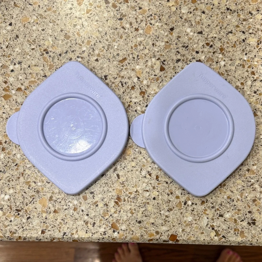 Tupperware Containers with Purple Lids